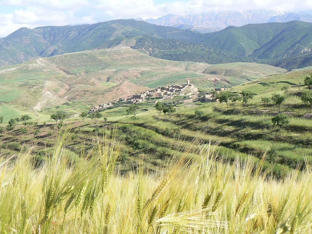 Bed and Breakfast Tigmi Nomade Tahannaout Exterior foto